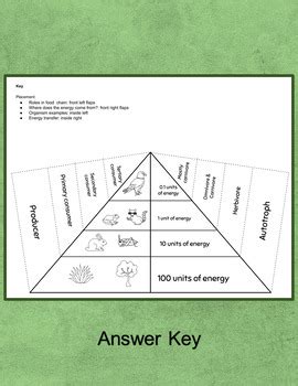 Ecological Pyramid - Energy Flow in Ecosystems Foldable | TpT