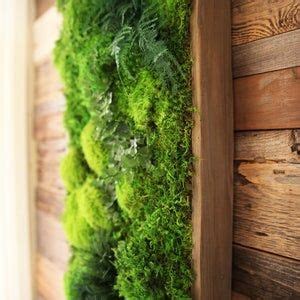 18x36 Real Preserved Moss Wall Art No Sticks No Care Green Wall Art