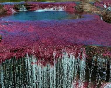 Vamos De Excursi N A Ca O Cristales Y Al R O De Colores