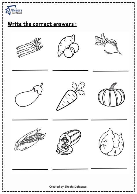 Vegetables Worksheets Sheets