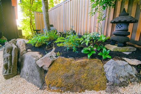 7 Shade Plant Ideas to Consider for Your Landscape Project