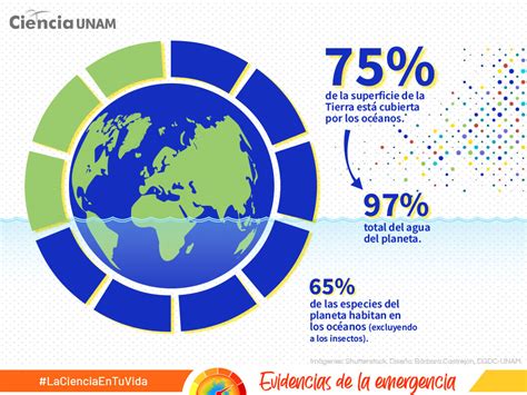 Especial Emergencia Clim Tica Impactos En Los Oc Anos Y C Mo Se Miden