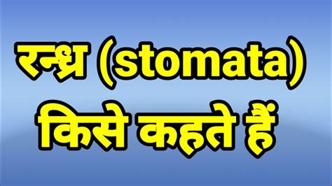 Stomata Kya Hai Stomata Ki