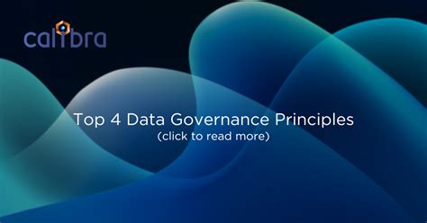 Top 4 Data Governance Principles