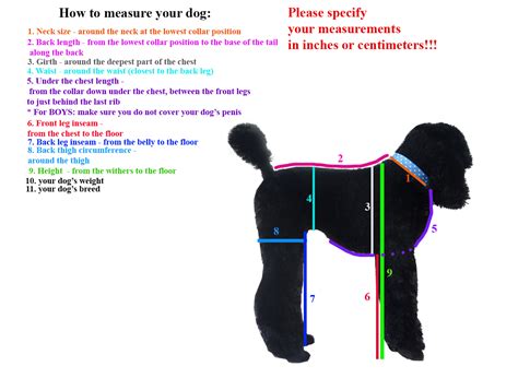 Measuring Guide — poodleit