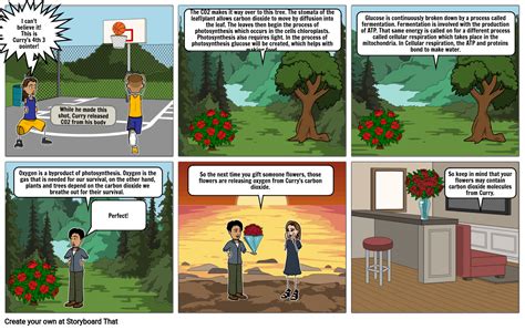 Biology Project Storyboard Por F Df