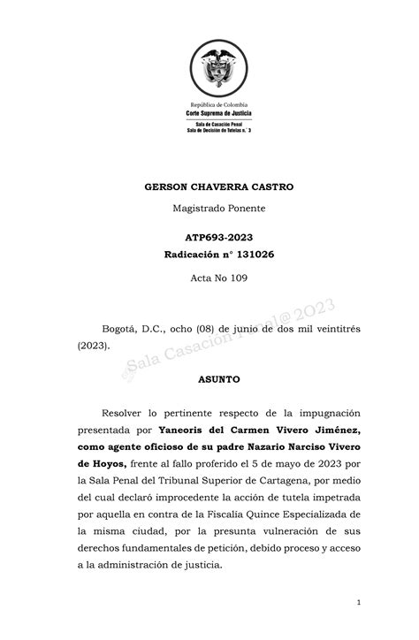 Nulidad De La Accion De Tutela Yaneoris Gerson Chaverra Castro