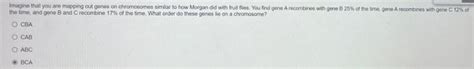 Solved What is the function of the Primase enzyme? To | Chegg.com