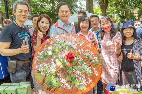 2024桃園桐花祭登場 張善政力推「953賞桐攻略」體驗客家文化 尋夢好新聞