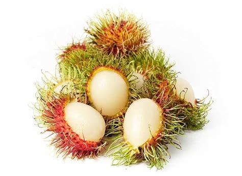 Yuk Simak Manfaat Makan Buah Rambutan Saat Hamil Khasiat Manfaat 2022