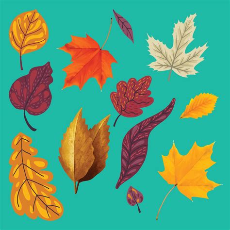 Collection Of Different Autumn Leaves 12997608 Vector Art At Vecteezy