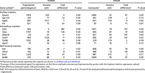 Table From Prepubertal Human Spermatogonia And Mouse Gonocytes Share