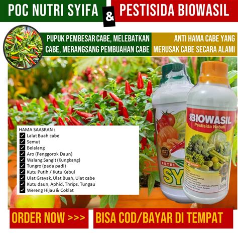 Nutri Syifa Biowasil Pupuk Pelebat Padi Obat Pembasmi Hama Wereng