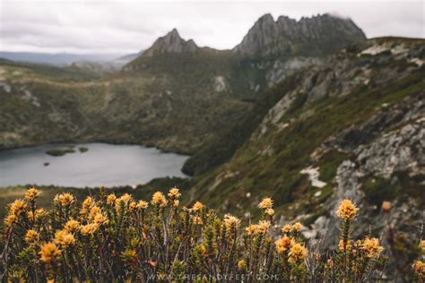 The Absolute Best Walks In Cradle Mountain National Park The Sandy Feet