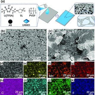 A Schematic Of The Fabrication Process Bd SEM Images E Nickel