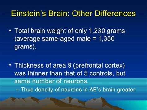 Einsteins brain