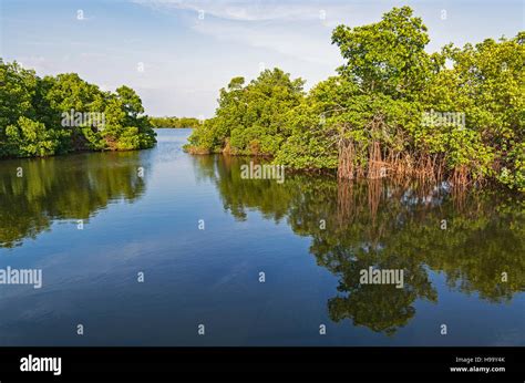 Florida, Sanibel Island, J.N. "Ding" Darling National Wildlife Refuge ...