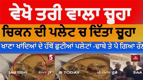 Ludhiana Dhaba Rat Served In Chicekn Ludhiana Rat Fry In Chicken