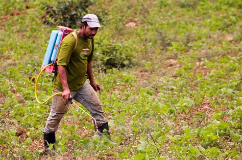 Avanzar Hacia Una Agricultura Sostenible E Invertir En Infraestructura Productiva Rural