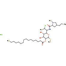 现货供应MeryerClindamycin palmitate HCl 纯度99 50 0mg 上海迈瑞尔化学