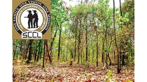 FAC Approves SCCL Proposal For Diversion Of 162.45 Hectares Of Forest ...