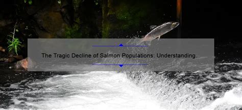 The Tragic Decline Of Salmon Populations Understanding The Causes And