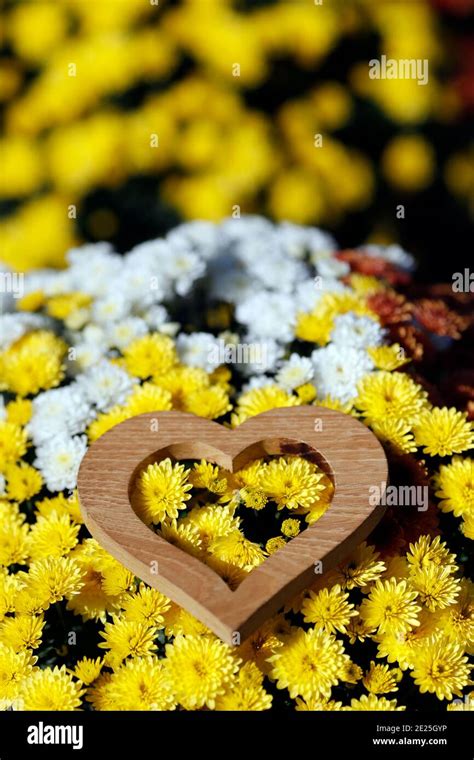 All Saints Day in a cemetery. France Stock Photo - Alamy