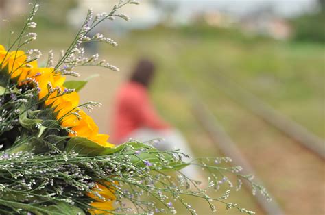 Free Images Nature Grass Branch Blossom Blur Plant Woman Lawn