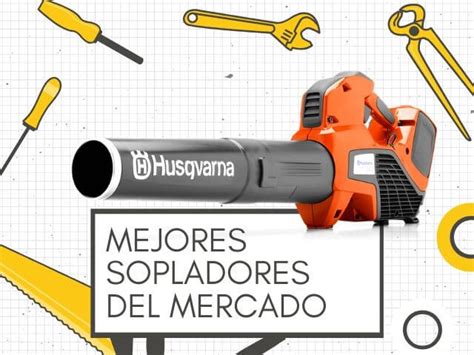 Mejores Sopladores De Hojas Del Mercado Top De