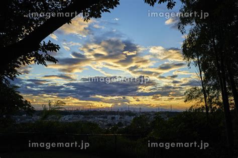 神奈川県 横浜市 大倉山公園よりの写真素材 142782175 イメージマート