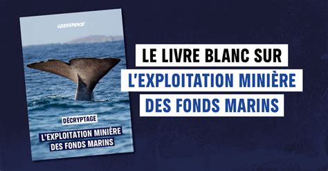 D Cryptage Lexploitation Mini Re Des Fonds Marins