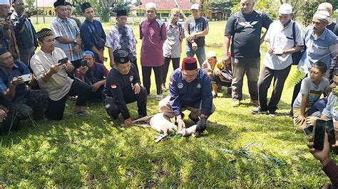 Juleha Melawi Adakan Pelatihan Juru Sembelih Halal Melawinews