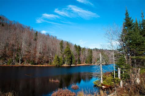 Bald Mountain Pond In Late October Photograph By David Patterson Fine