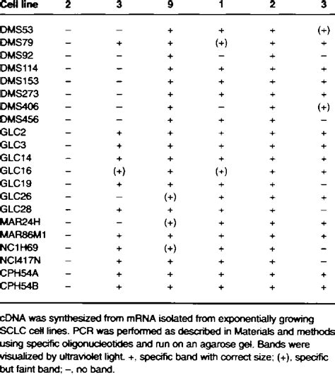 Rt Pcr Detection Of Mmp And Timp Expression Of Proteoc Enzymes In Sclc