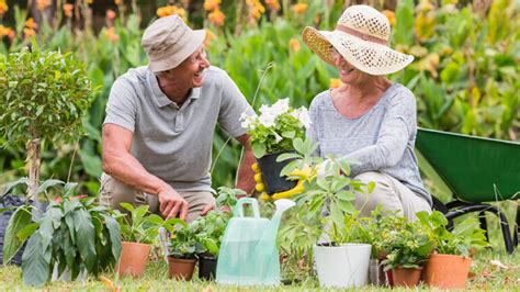 Was Oma und Opa noch wussten 20 Gartentipps von früher Samenhaus