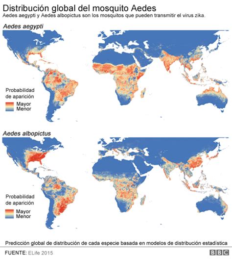 Gr Ficos Que Te Ayudar N A Entender Qu Es El Virus Del Zika Y Sus