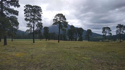 calm nature mexico  photo  pixabay pixabay