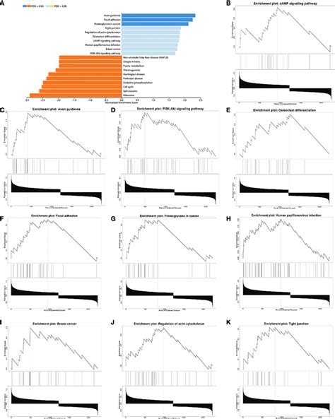 Gsea Enrichment Analysis Of Differential Genes In High And Low Rarg