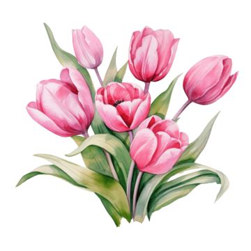 Pink Tulip Bouquet Flowers Watercolor Ai Generated Tulip Pink