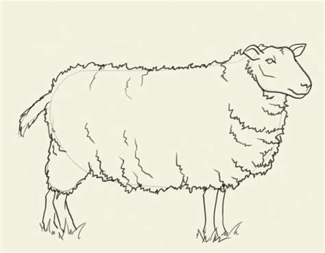 Drawing And Painting Sheep Drawing How To Draw Sheep