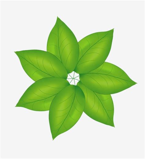 Petal Shape PNG Transparent, Green Petal Shaped Leaf Illustration ...