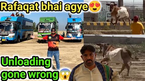 rafaqat bhai agye  trucks ek sath lekar northern mandi ma bachri