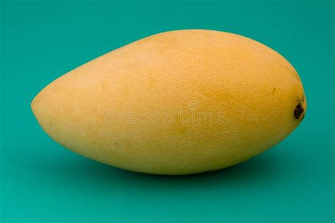 Ripe Mango Stock Image Image Of Produce Health Sweet 11117293