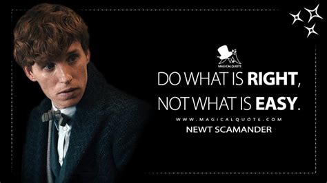 Newt Scamander Quotes - MagicalQuote