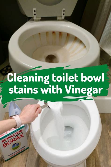 Best Way To Clean Your Toilet Bowl Stains With Borax Powder Clean