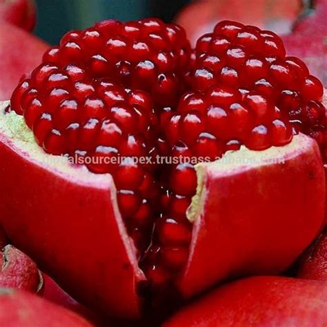 Pomegranate at best price in Chennai by Global Source Impex Private ...