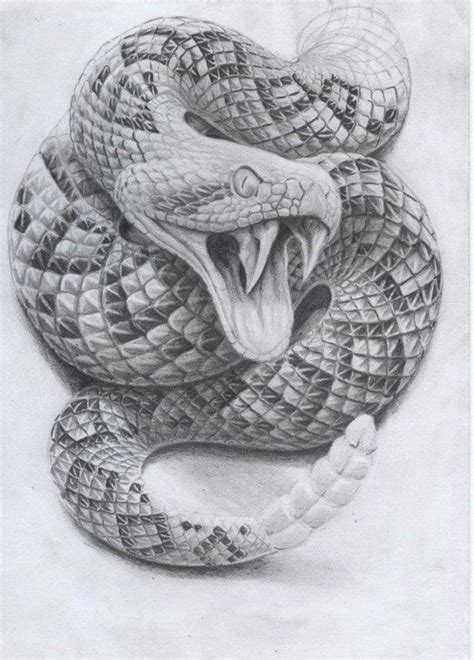 Rattlesnake Tattoo Drawing