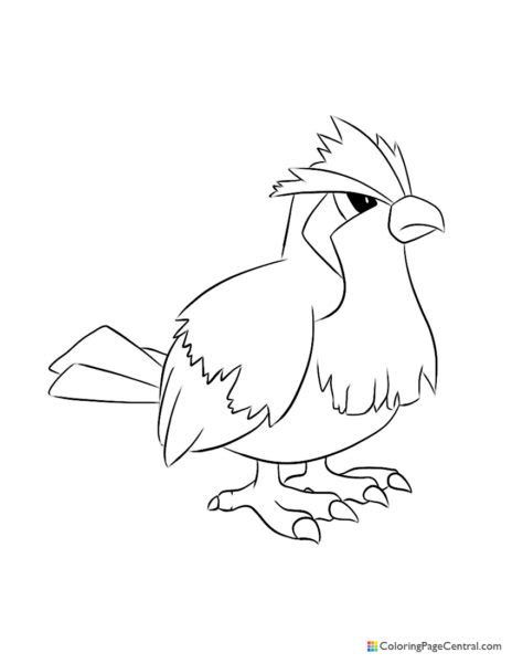 Pidgeot Coloring Page Central Coloring Nation