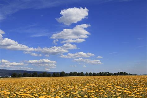 Warum Ist Der Himmel Blau Einfach Erkl Rt Futurezone