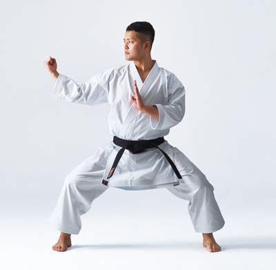 Karate Uniform from Japan(Karategi,wear,clothes,manufacturer,maker ...